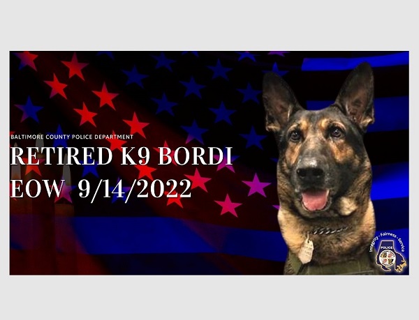 Harford Sheriff on X: It's with great sadness that for the second time  this month we announce the passing of a retired HCSO K9. K9 Bruno died  Monday night at the age