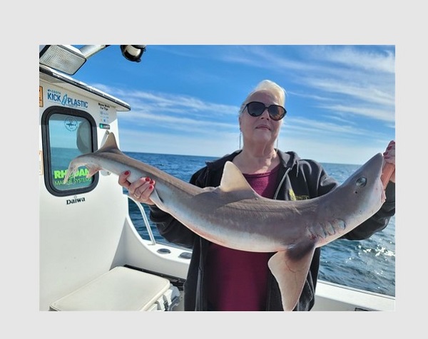 Fay Gaster Smooth Dogfish Record Maryland 20221027