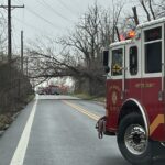 Route 7 Downed Tree JMVFC 20221223