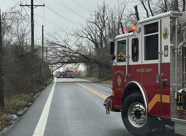 Route 7 Downed Tree JMVFC 20221223