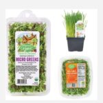 Wegmans Micro Greens Recall 202212