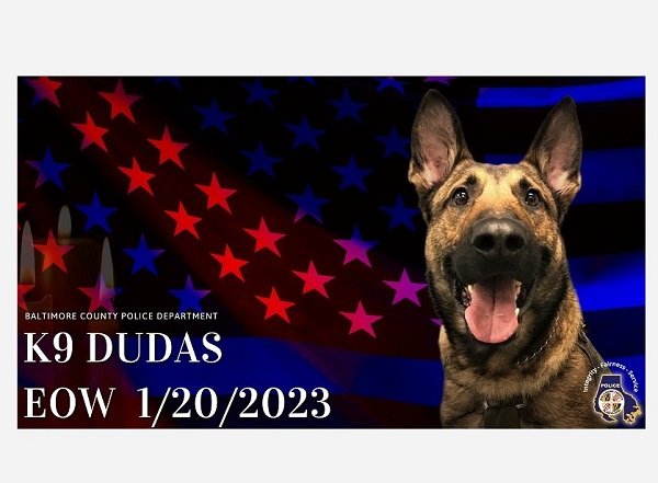 BCoPD K9 Dudas