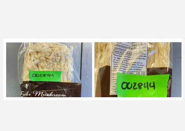 MDH Enoki Mushroom Alert 20230126