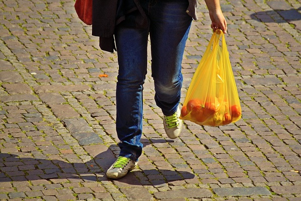 Shopping Groceries Plastic Bag