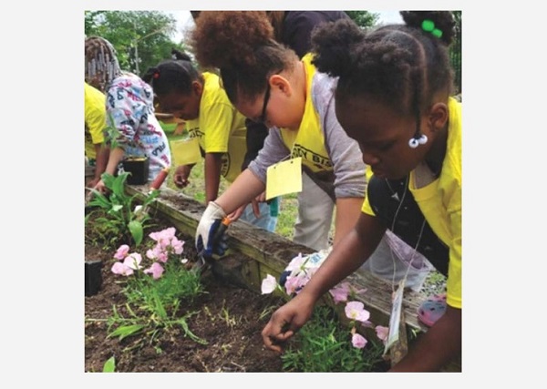 Baltimore City Living Classroom Masonville Cove Pollinator Gardens