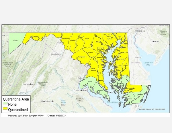 Maryland Spotted Lanternfly Quarantine Zone 20230306