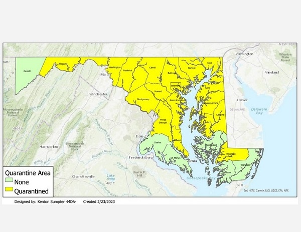 Maryland Spotted Lanternfly Quarantine Zone 20230306