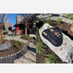 The Avenue White Marsh Kindness Rock Garden