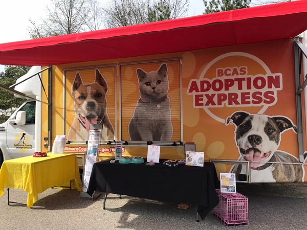 Baltimore County Animal Services Adoption Express