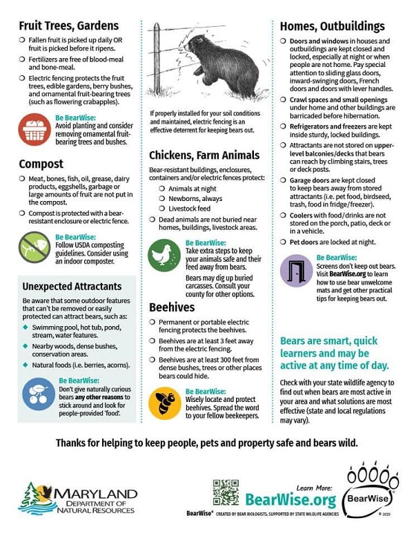 BearWise Bear Guide 2