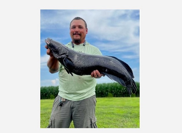 Damien Cook Rhodesdale Maryland Snakehead Record