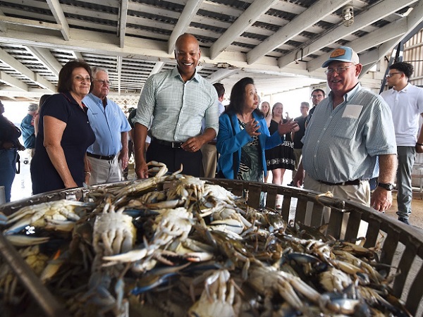 J.M. Clayton Seafood