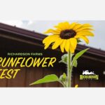 Richardson Farms Sunflower Fest
