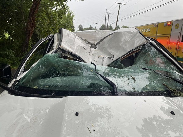 Tree into Vehicle Fallston 20230709