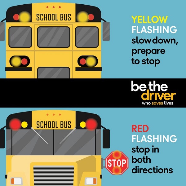 School Bus Safety