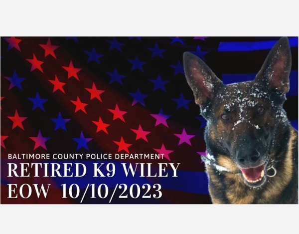 BCoPD K9 Wiley EOW 202310