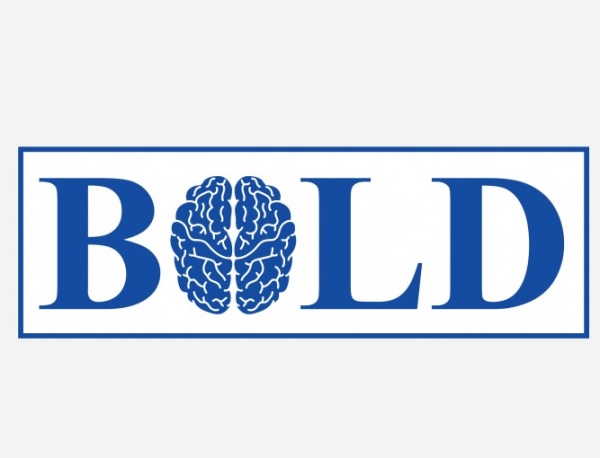 BOLD Building Our Largest Dementia Infrastructure for Alzheimers Act