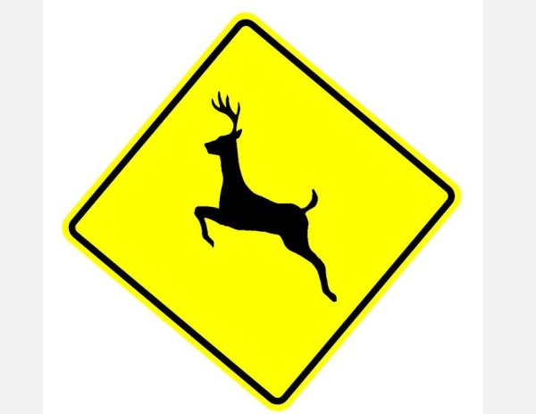 Deer Xing Crossing Sign