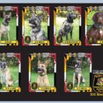 MDTA K-9 Cards