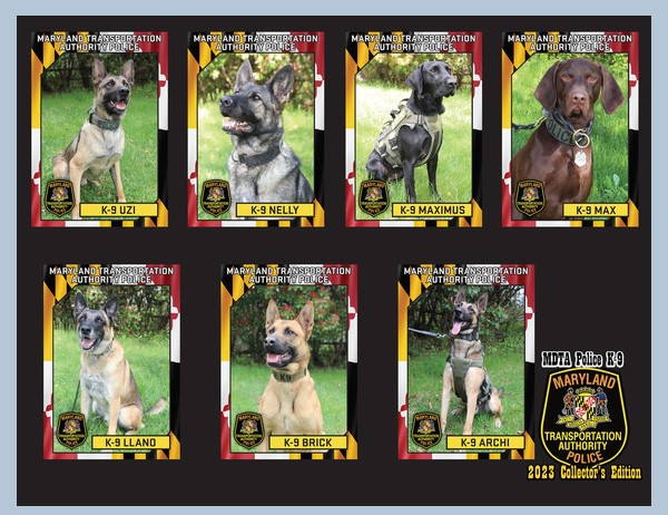 MDTA K-9 Cards