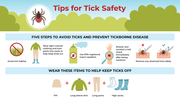 Tick Safety Tips