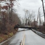 Tree Closes Cromwell Bridge Road 20231218