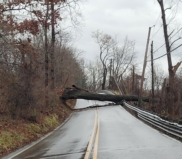 Tree Closes Cromwell Bridge Road 20231218