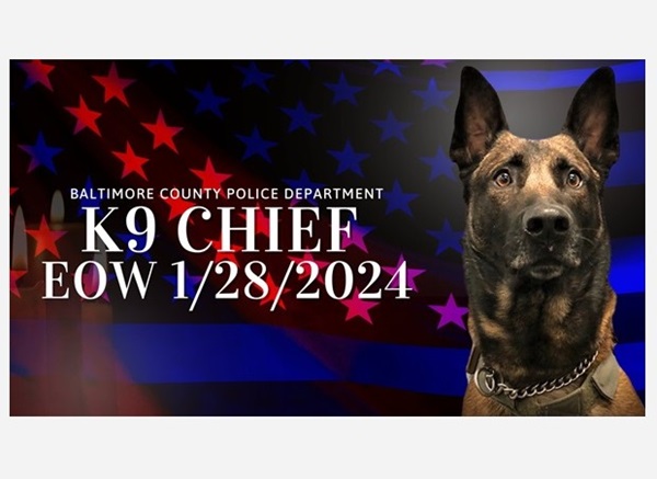 BCoPD K9 Chief