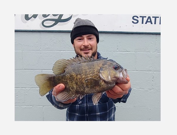 Thomas Over Maryland Record Rock Bass 202401