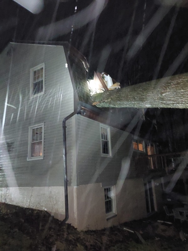 Tree Falls Into Home Long Green 20240109a