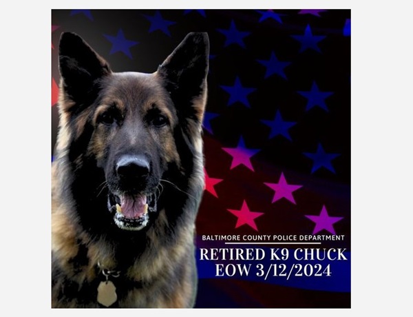 BCoPD Retired K9 Chuck