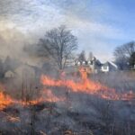 Ladew Controlled Burn