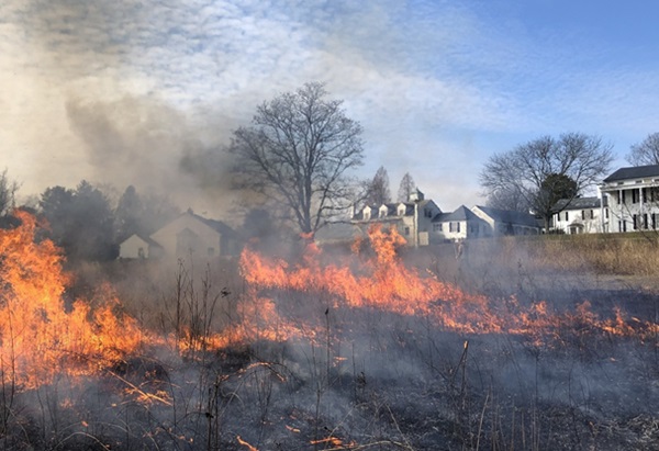 Ladew Controlled Burn