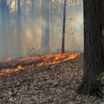 Glen Arm Brush Fire 20240423