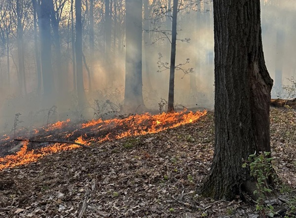 Glen Arm Brush Fire 20240423