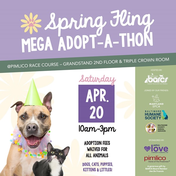 Spring Fling Baltimore Pet Adopt a Thon 20240420