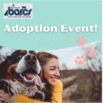 BARCS Adoption The Avenue White Marsh 202405