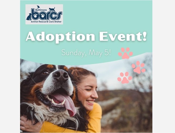 BARCS Adoption The Avenue White Marsh 202405