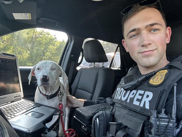 Maryland State Trooper Dog Rescue 202407