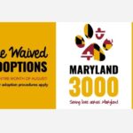 The Avenue White Marsh Maryland 3000 Pet Adoption 20240731