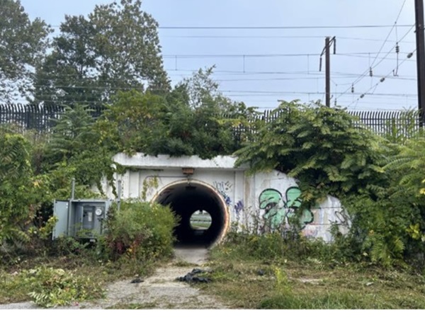 Amtrak Graffiti Middle River 2