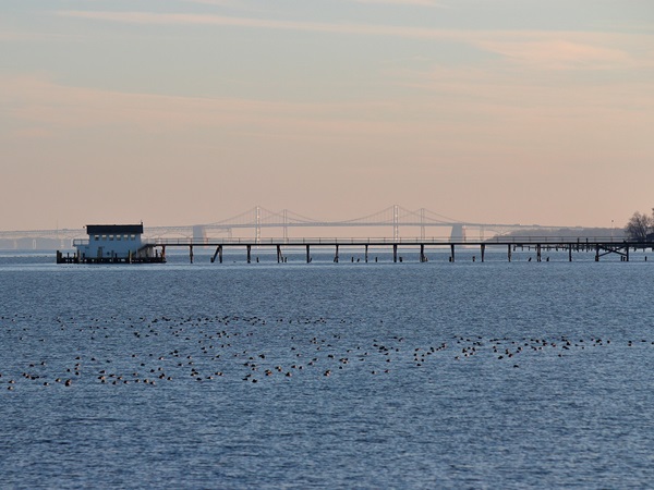 Chesapeake Bay Bridge