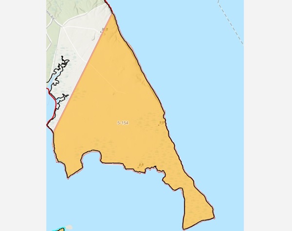 Proposed Hammerman Downzoning 202408