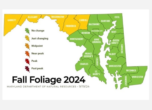 Maryland Fall Foliage Report 20240920