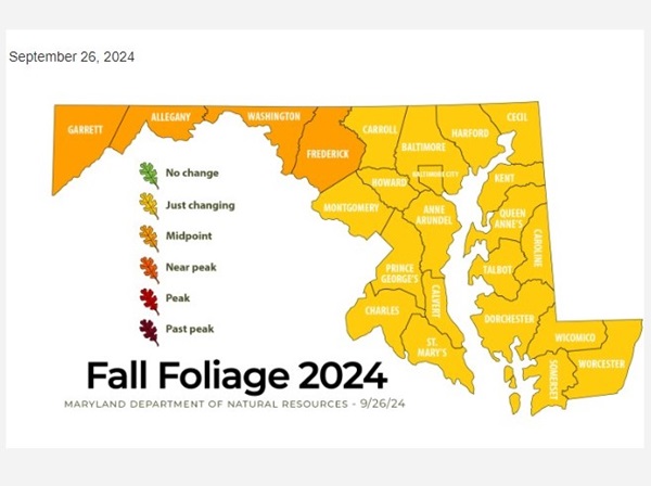 Maryland Fall Foliage Report 20240926