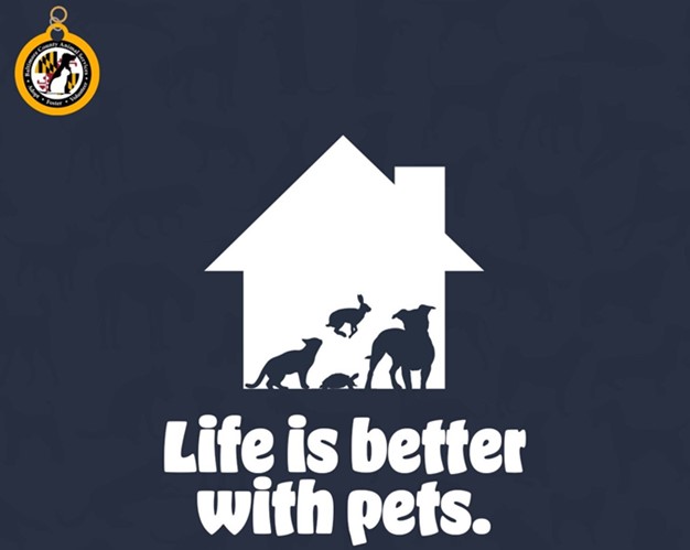 Baltimore County Animal Services Life Is Better with Pets