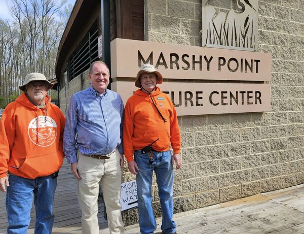 David Marks Marshy Point Pavilion 202410