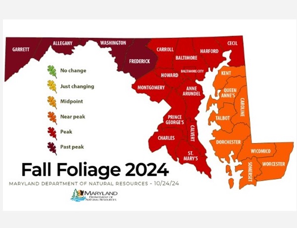 Fall Foliage Report Maryland 20241026