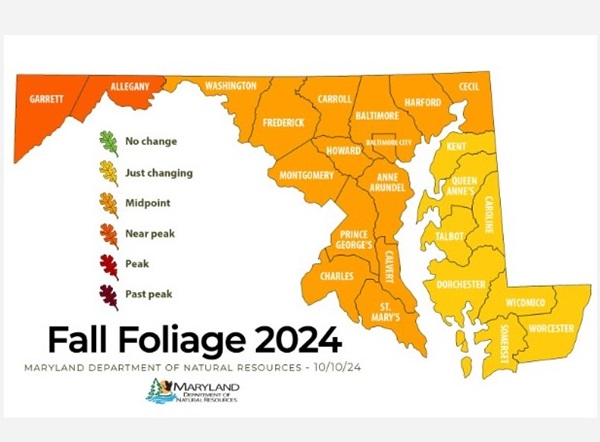 Maryland DNR Fall Foliage Report 20241013
