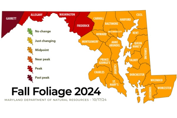 Maryland Fall Foliage Report 20241017